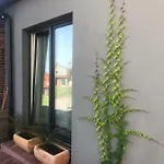 Flores Катовице